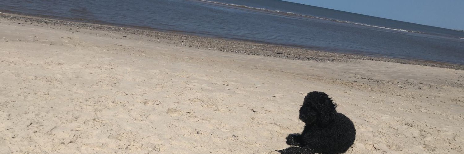 Verónica Fiol Lepera banner
