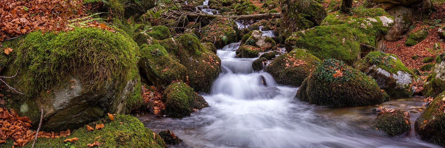 TitoDixebra #oficialidá banner