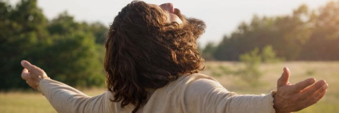 befibefields's profile banner image