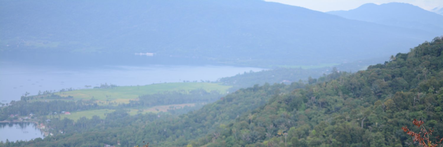 dododeptrai's profile banner image