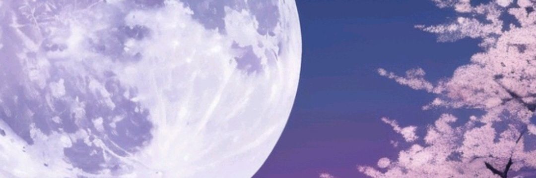 nco_RavenSilver's profile banner image