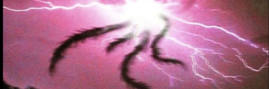 bundleoftendril's profile banner image