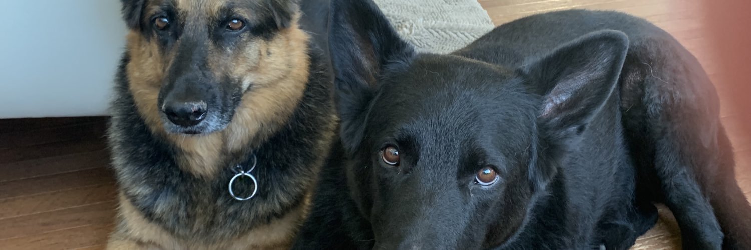 Charlene 🫐 🏌️‍♀️ 👟 🐕 🇨🇦 banner