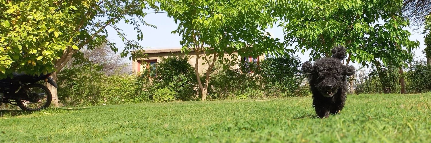Lau_quirog's profile banner image
