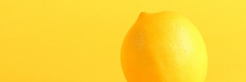 thelimma_com's profile banner image