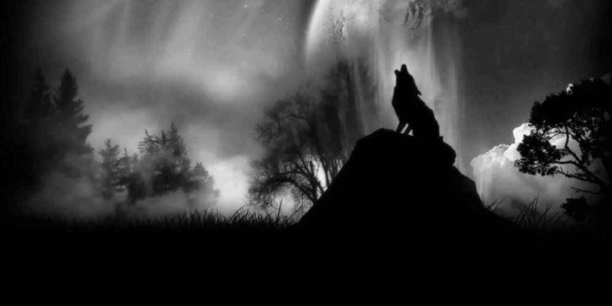 LostWolf92's profile banner image