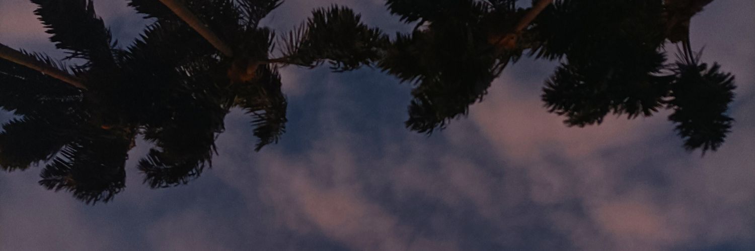 kariog_'s profile banner image