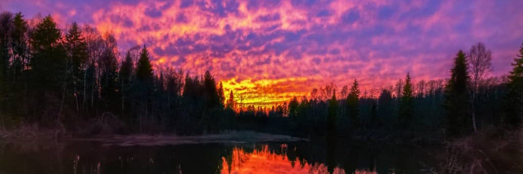 itslaszborn's profile banner image