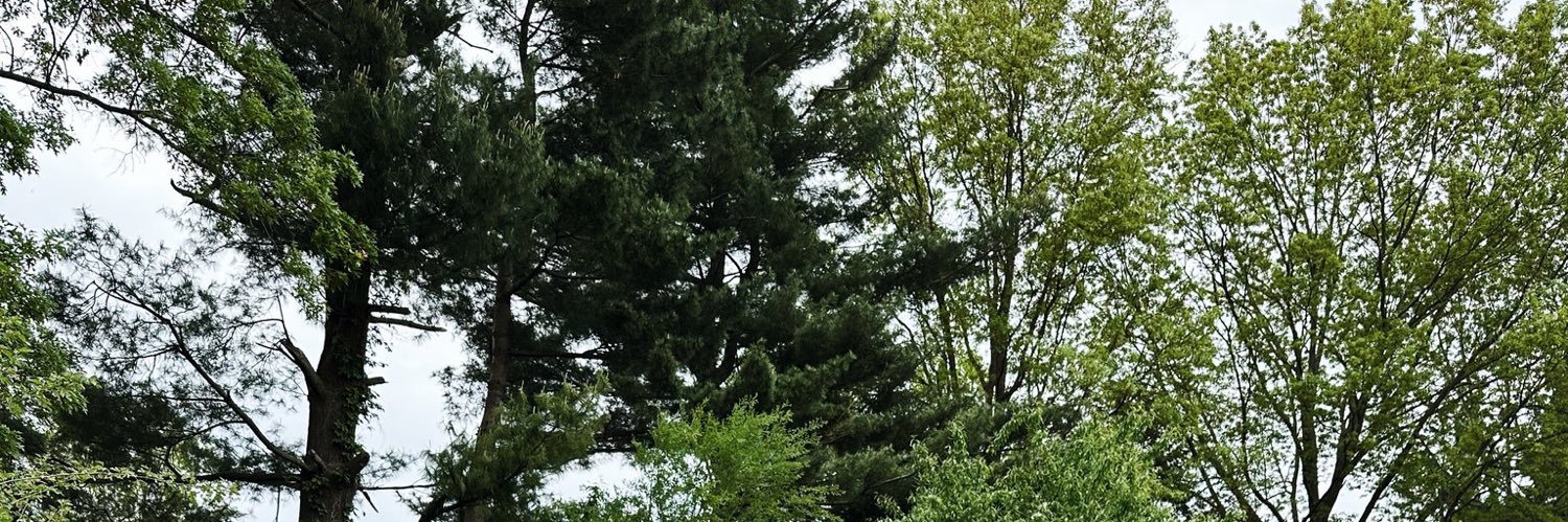 BREEZY's banner