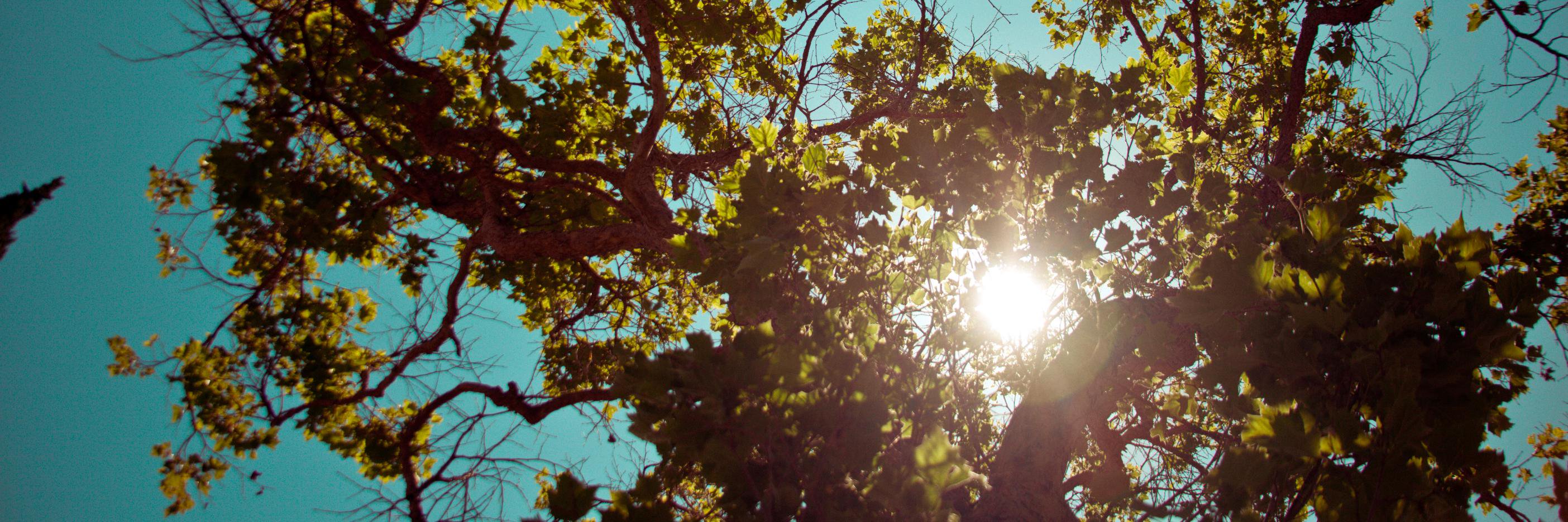 Kara Cutruzzula banner