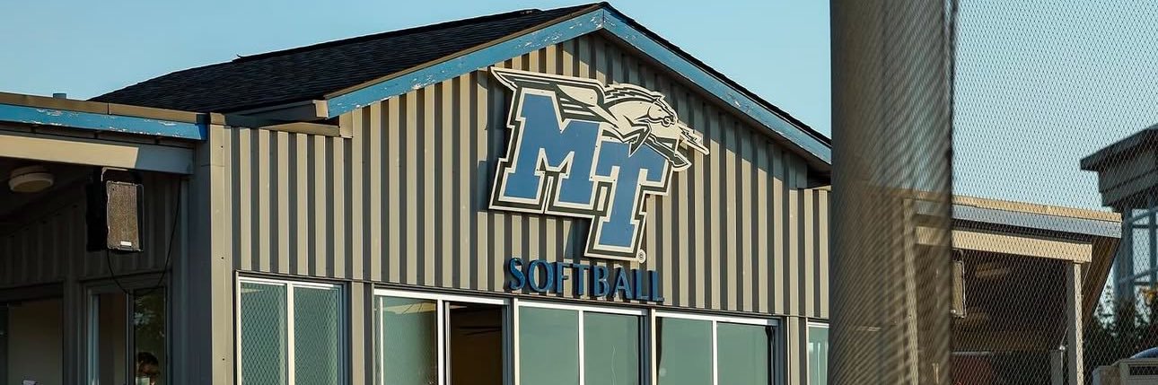 Elle Hildreth banner