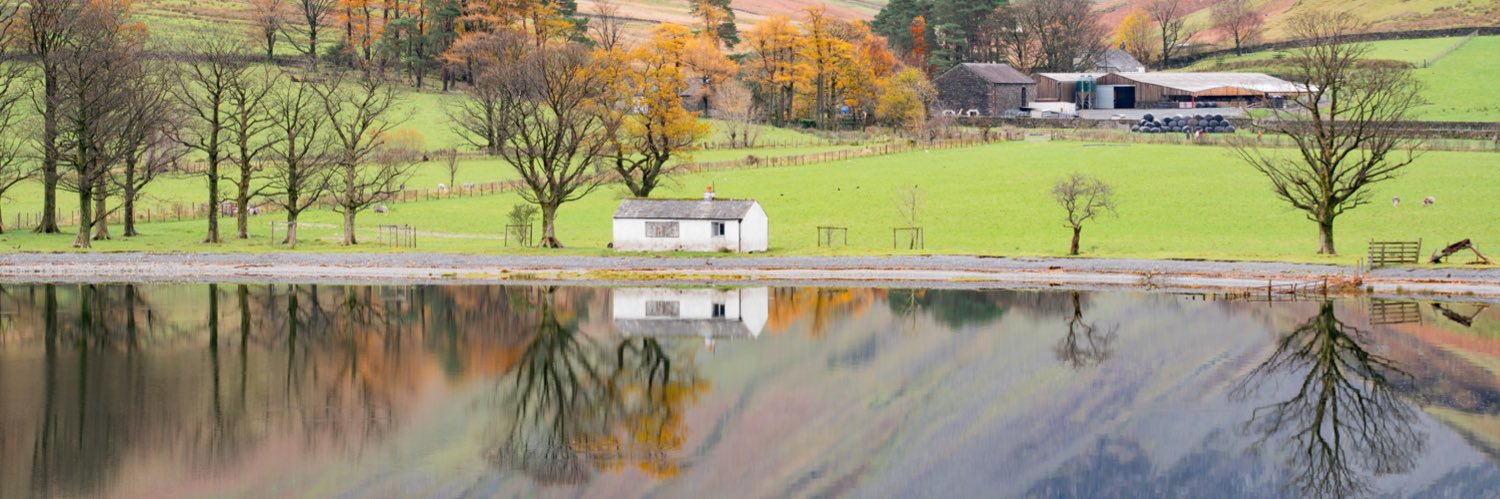 Anthony Johnson banner
