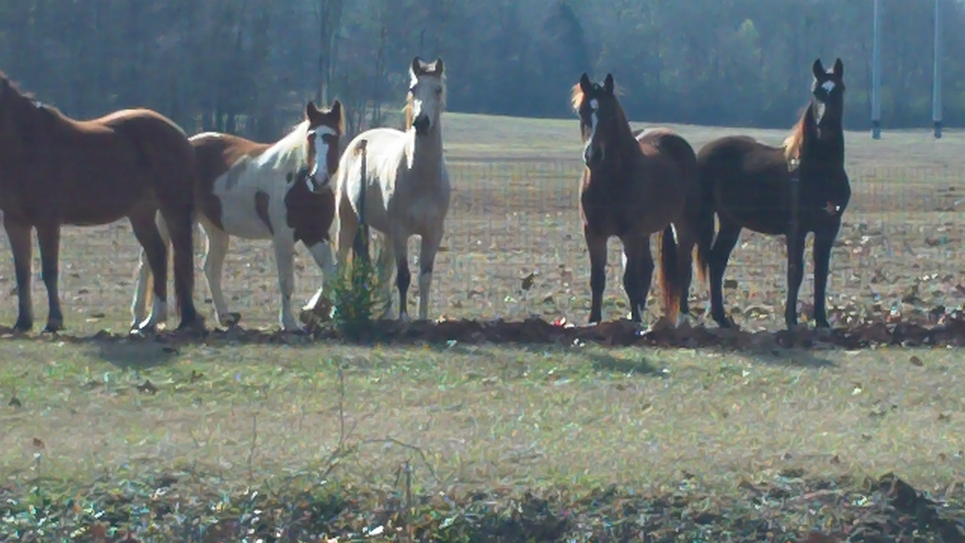 BillS35186's profile banner image