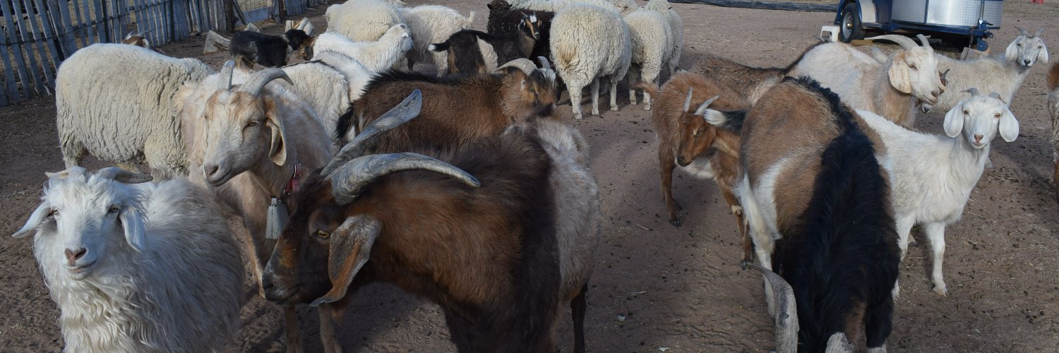 Dr. Valerisa Gaddy banner