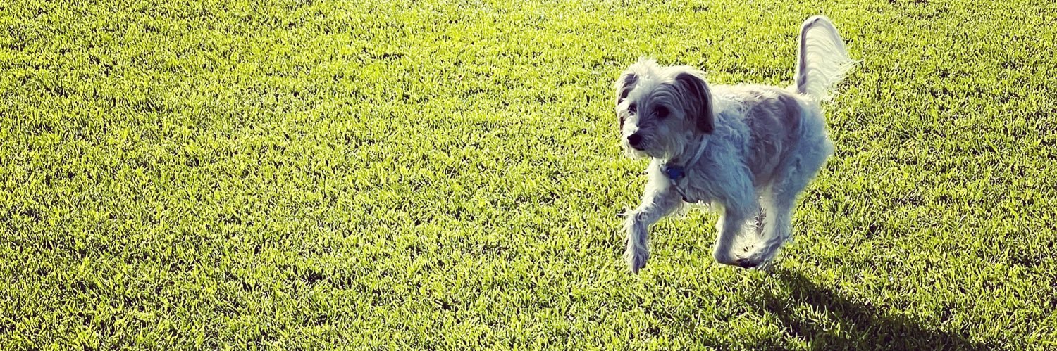 Caitlin Farmer PhD banner