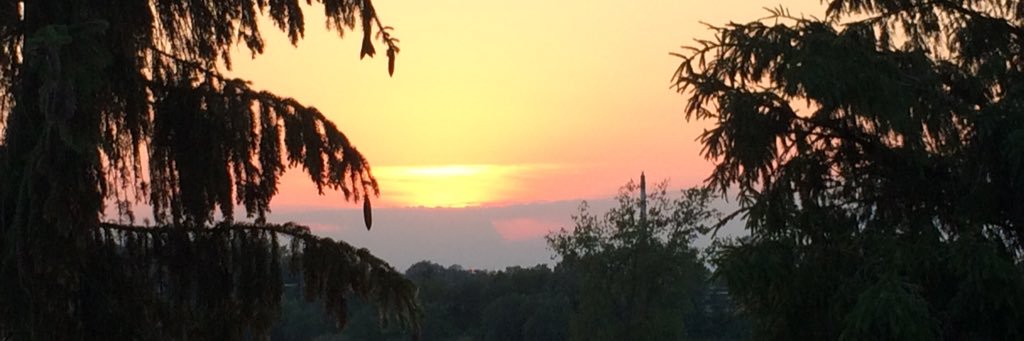 MindyPollak's profile banner image