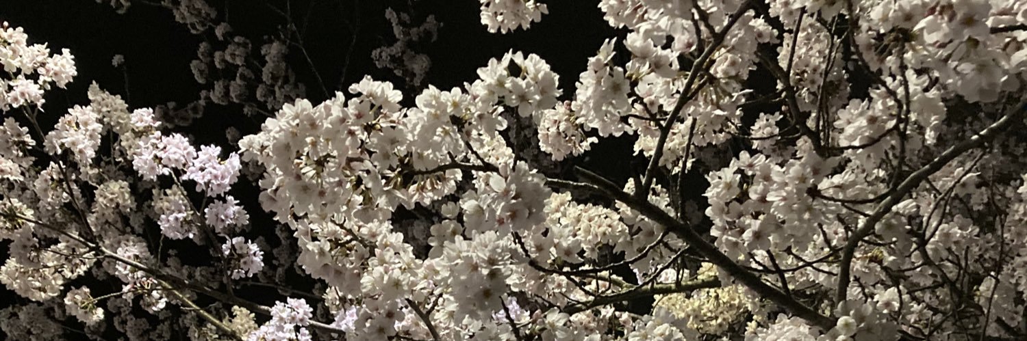 実生桜 banner