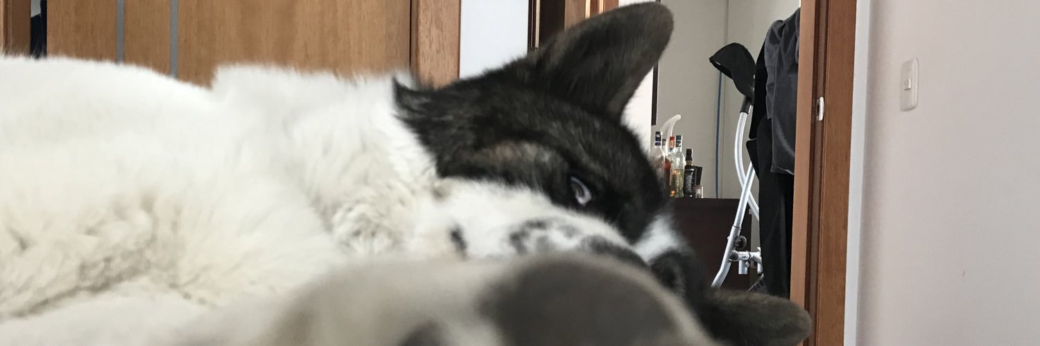 anoboas's profile banner image