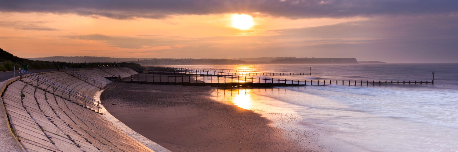 🐬 Dave the Dolphin🐬 🇪🇺🇬🇧 🚴‍♂️🐕🇩🇰🇨🇦 banner