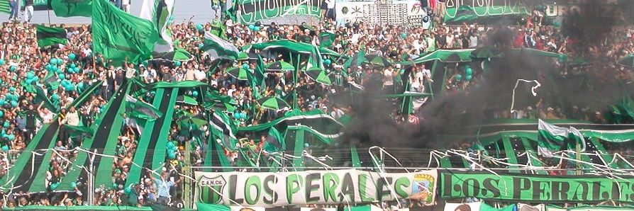 🐂 Duca 🇦🇷 banner