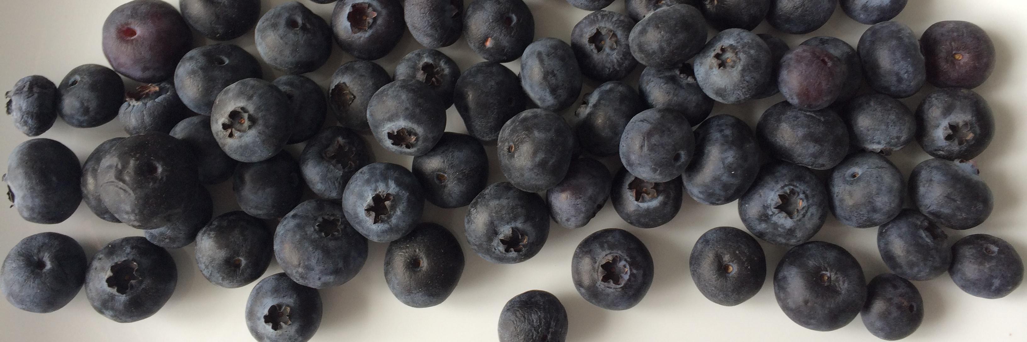 Suzanne Whitlock banner