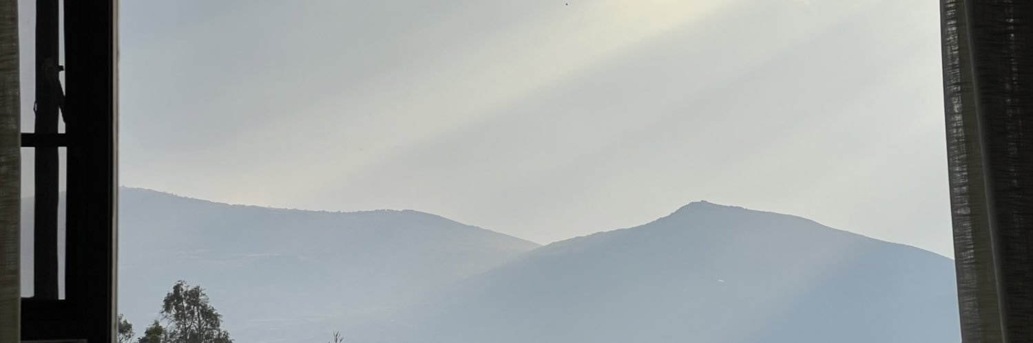 1 banner