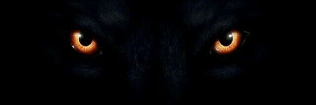 Ikerrrrr banner