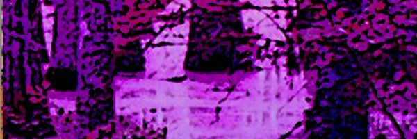 CardinalQuack Profile Banner