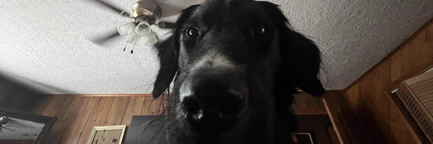 caarleereneeee's profile banner image