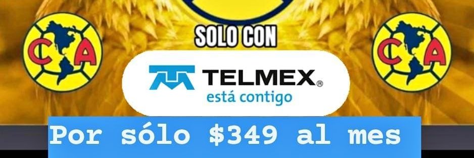 sectorino americanista banner