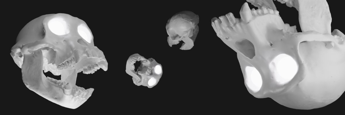 Skullcore NFT banner
