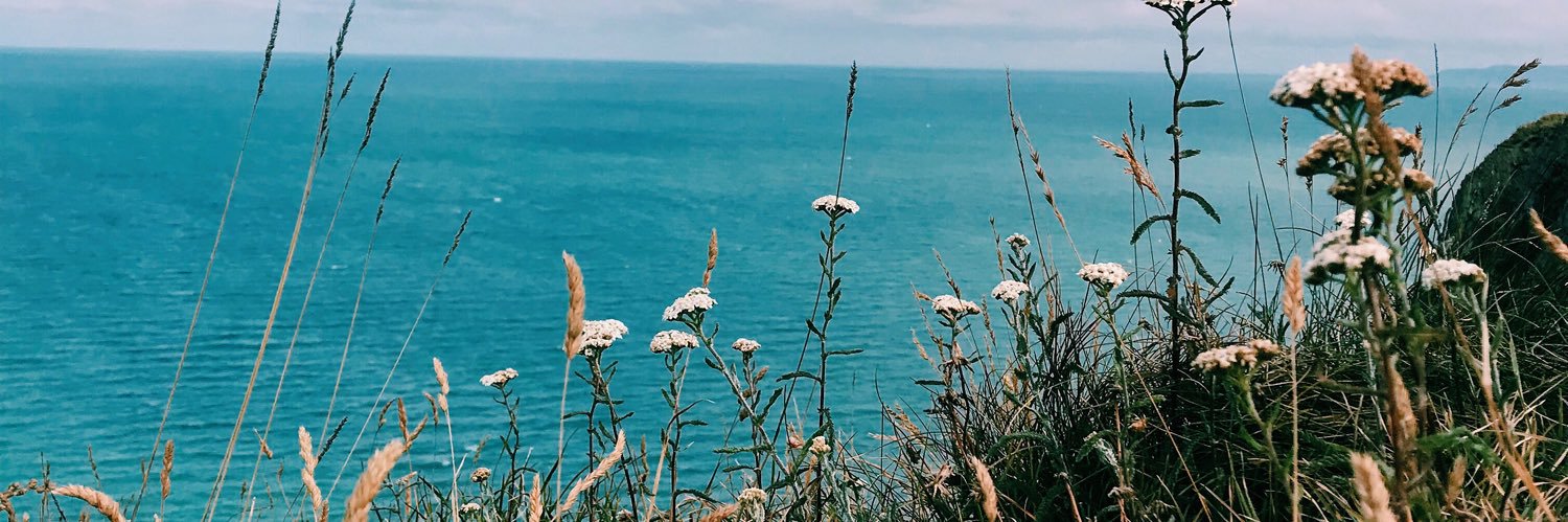 BeepMair's profile banner image