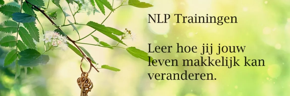 Lumeriaklaske's profile banner image