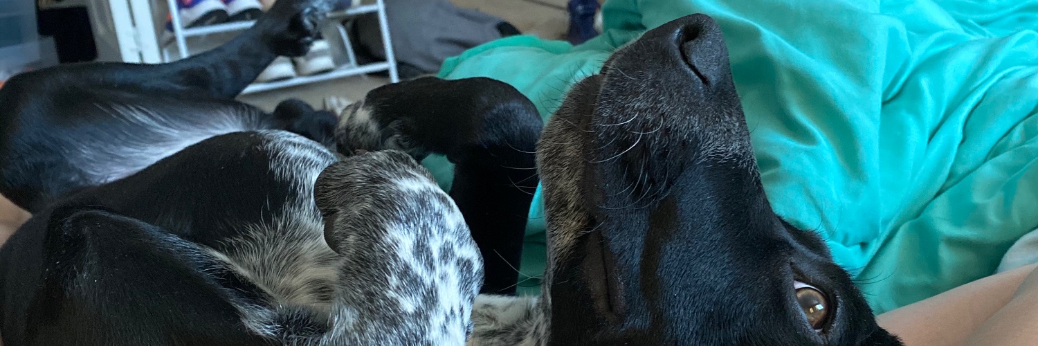 bexdubs's profile banner image