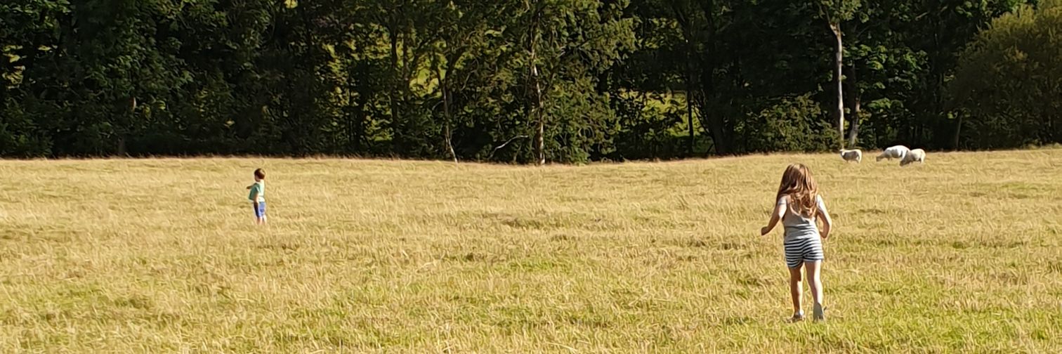 Sandra Watts banner