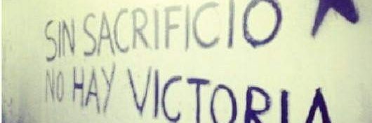 Wilson Velasquez banner