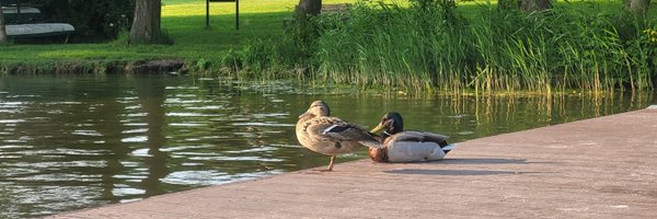 rencoding Profile Banner