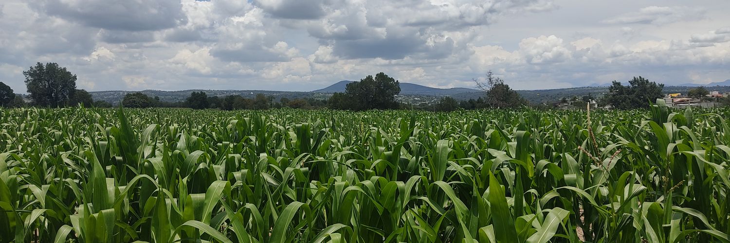 Geo-grafías Comunitarias banner