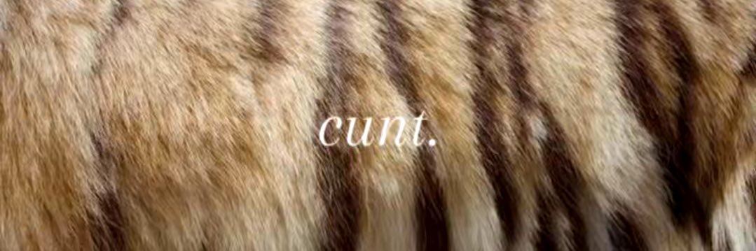 frank okyanus banner