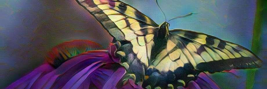boredflyer's profile banner image