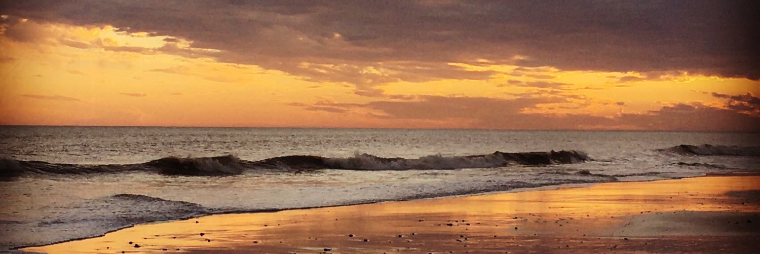 N A N O Invernizzi banner