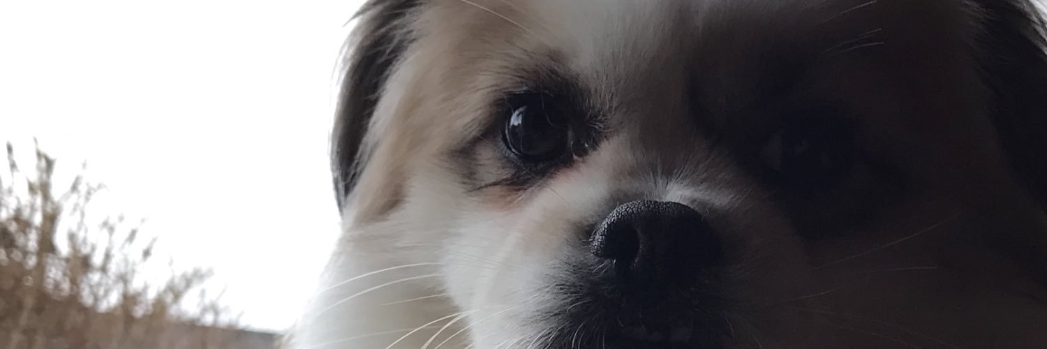 bigmeik007's profile banner image