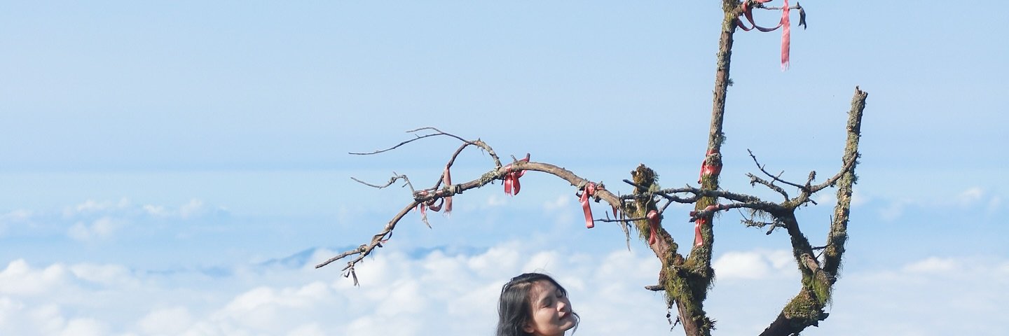 Harry Nugraha banner