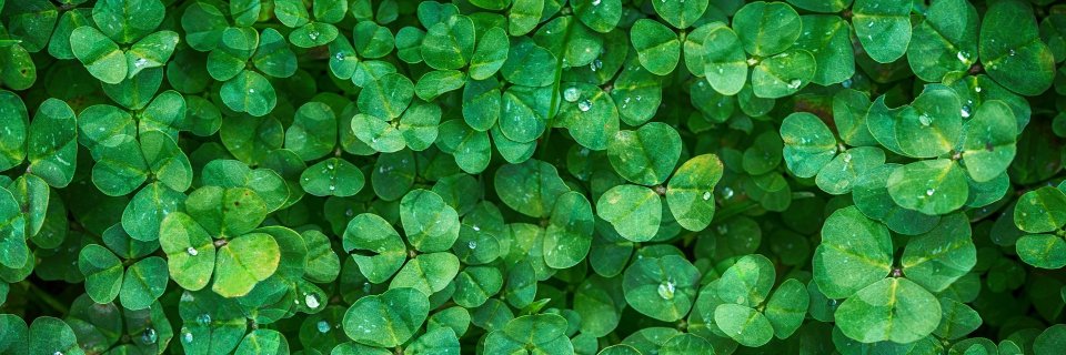 ismaeelsmj's profile banner image