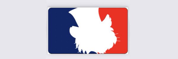 HHSBSBL Profile Banner