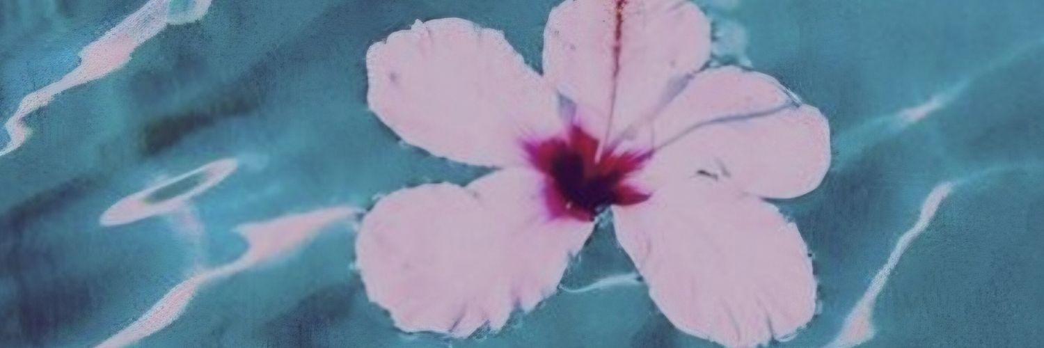 elama27's profile banner image