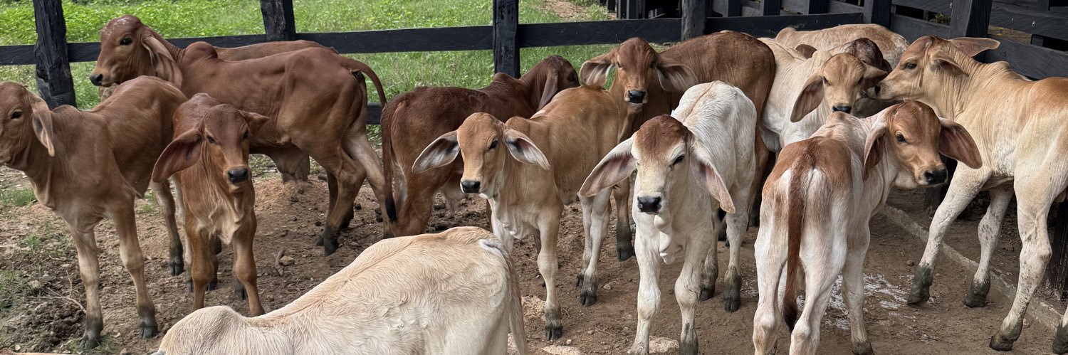 Abraham A. Haydar Berrocal banner