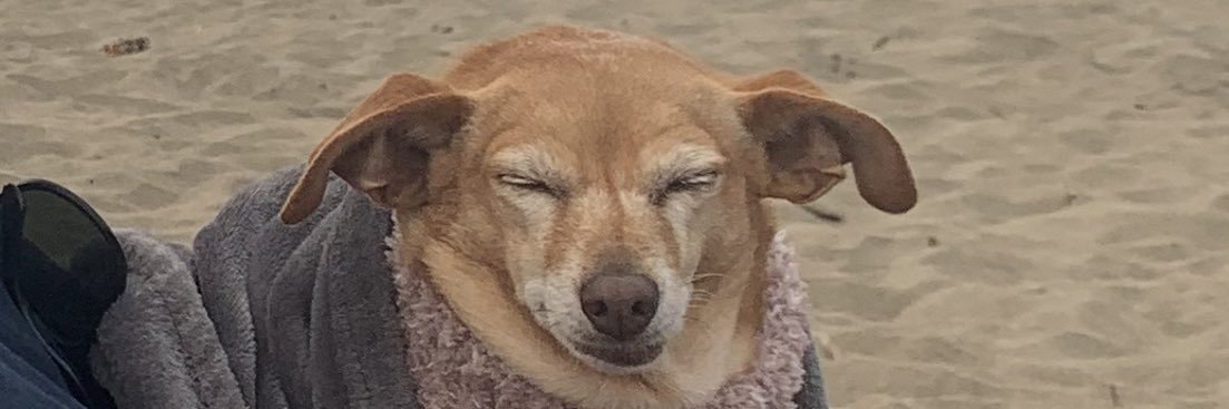 rosermmarshall's profile banner image