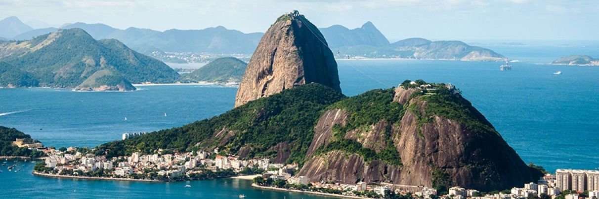 Solange Diniz banner