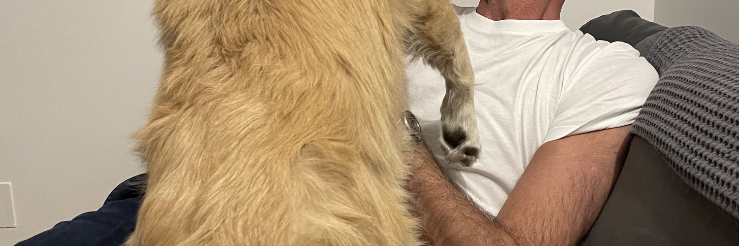 Massimiliano Parentii banner